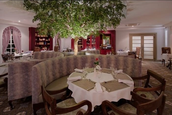 レストランの中に木が生えている